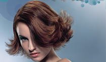 wella plakate